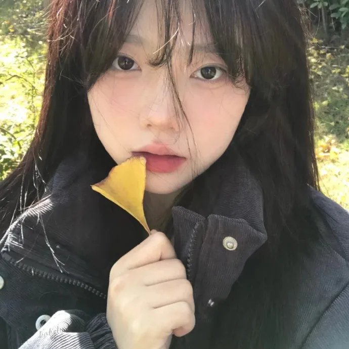 恋琴痴凤